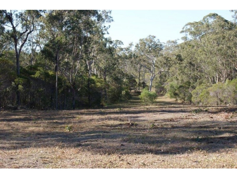 Lot 98 Mollenhagen Road, Winfield QLD 4670