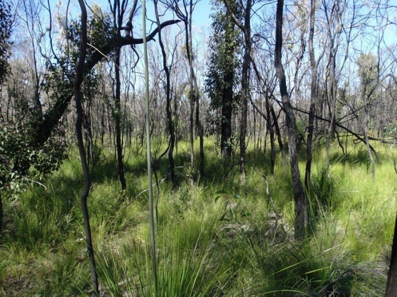 663 Capricornia Drive, Deepwater QLD 4674