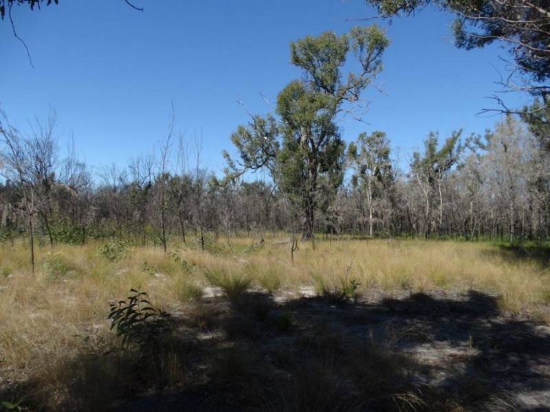 663 Capricornia Drive, Deepwater QLD 4674