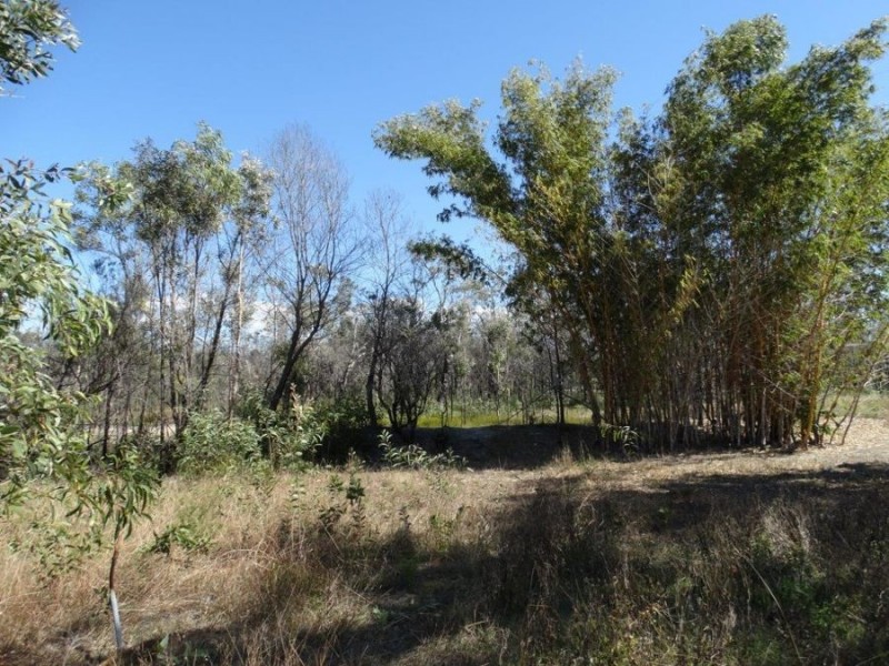 663 Capricornia Drive, Deepwater QLD 4674