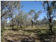 663 Capricornia Drive, Deepwater QLD 4674