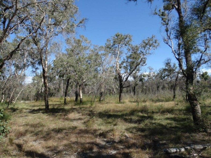 663 Capricornia Drive, Deepwater QLD 4674