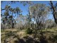 663 Capricornia Drive, Deepwater QLD 4674