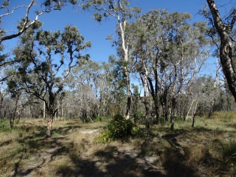663 Capricornia Drive, Deepwater QLD 4674