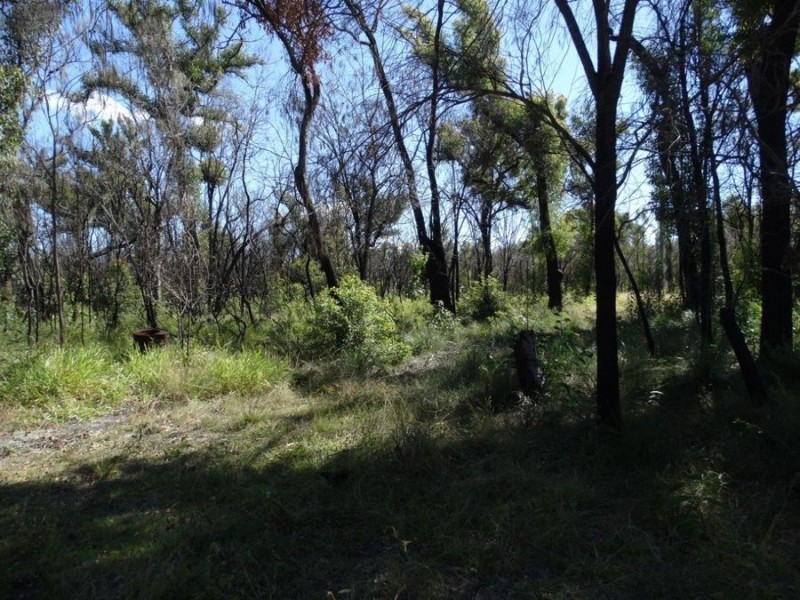663 Capricornia Drive, Deepwater QLD 4674