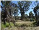 663 Capricornia Drive, Deepwater QLD 4674