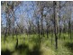 663 Capricornia Drive, Deepwater QLD 4674