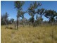 663 Capricornia Drive, Deepwater QLD 4674