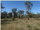 663 Capricornia Drive, Deepwater QLD 4674