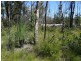 663 Capricornia Drive, Deepwater QLD 4674