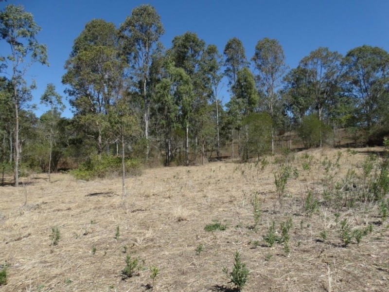 Lowmead QLD 4676