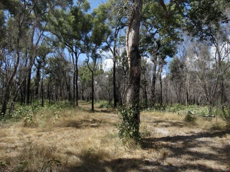 Lot 100 Pacific Drive, Deepwater QLD 4674