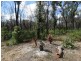 Lot 100 Pacific Drive, Deepwater QLD 4674