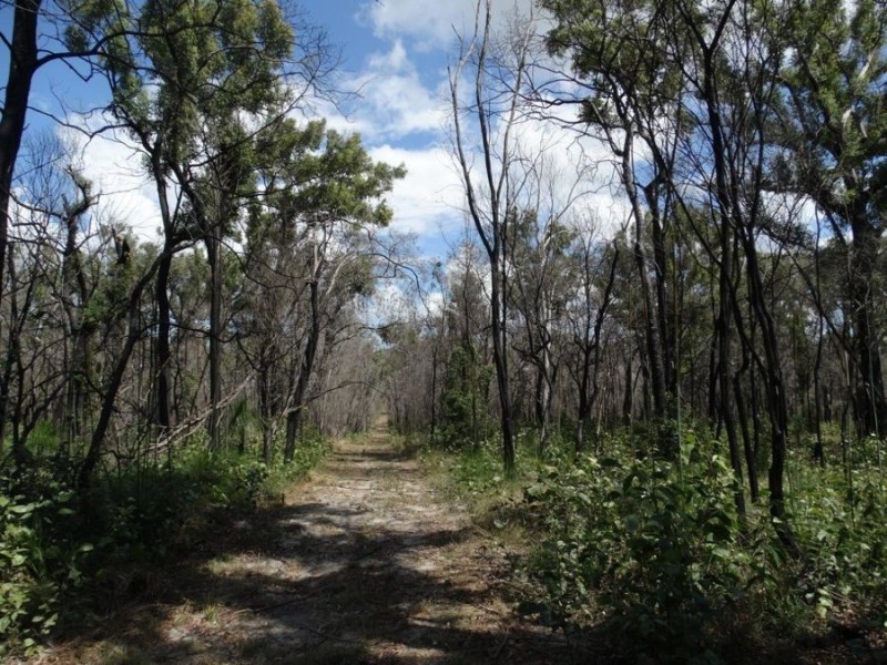 Lot 100 Pacific Drive, Deepwater QLD 4674