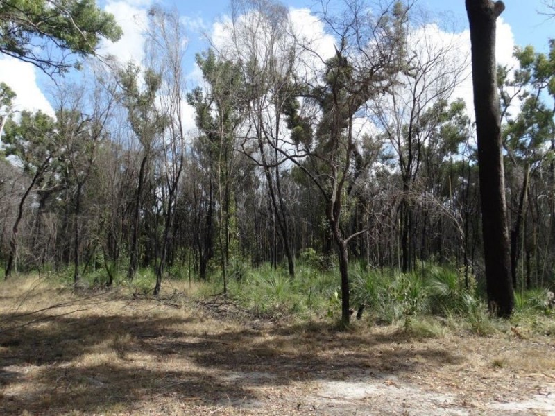 Lot 100 Pacific Drive, Deepwater QLD 4674