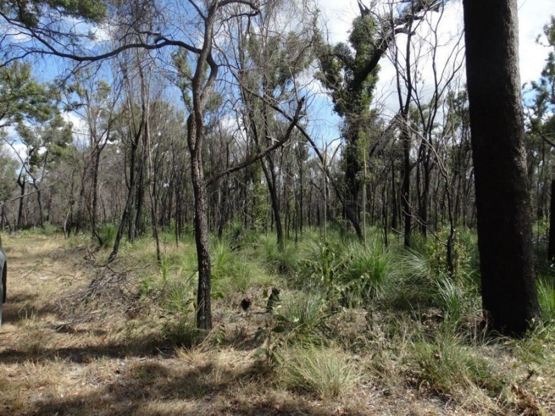 Lot 100 Pacific Drive, Deepwater QLD 4674