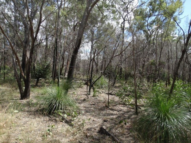 Lot 100 Pacific Drive, Deepwater QLD 4674