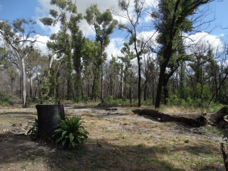Lot 100 Pacific Drive, Deepwater QLD 4674