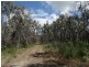 Lot 100 Pacific Drive, Deepwater QLD 4674