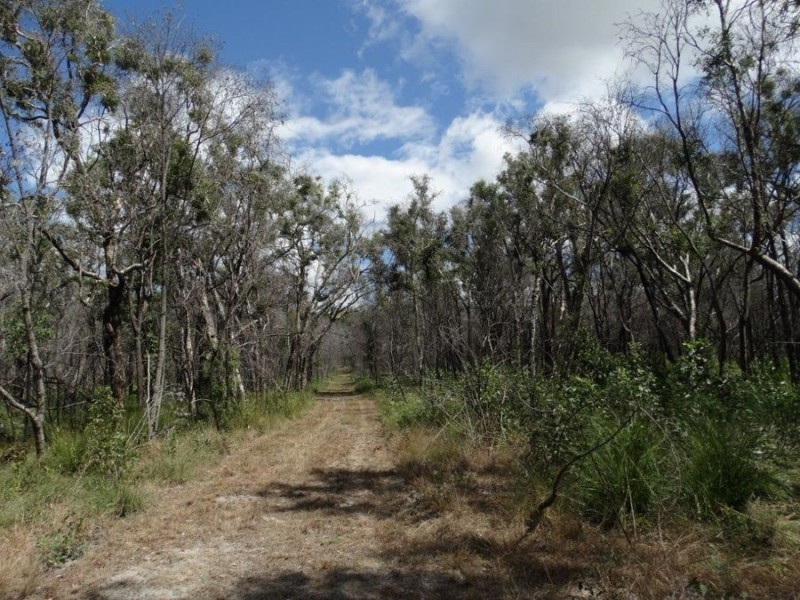 Lot 100 Pacific Drive, Deepwater QLD 4674