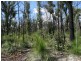 Lot 100 Pacific Drive, Deepwater QLD 4674
