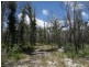 Lot 100 Pacific Drive, Deepwater QLD 4674