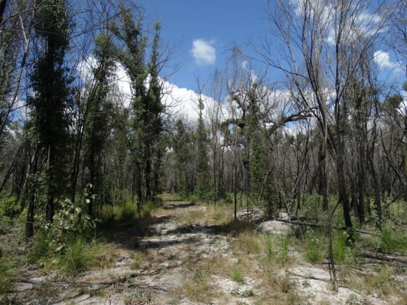 Lot 100 Pacific Drive, Deepwater QLD 4674