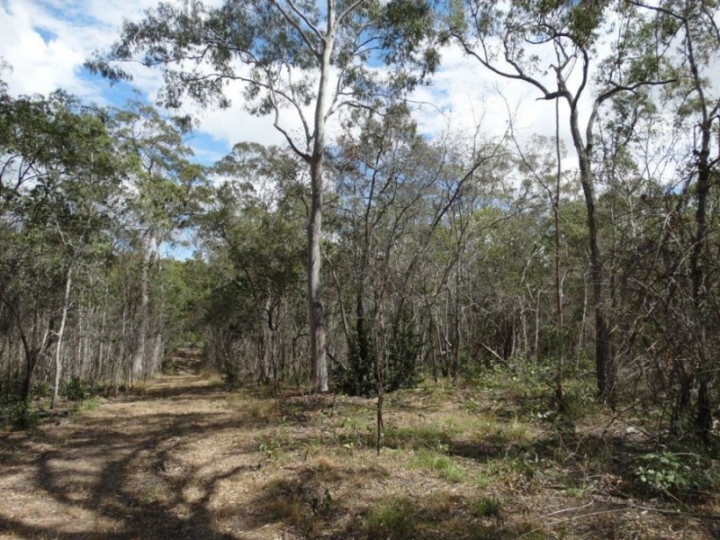Lot 100 Pacific Drive, Deepwater QLD 4674