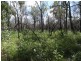 Lot 100 Pacific Drive, Deepwater QLD 4674