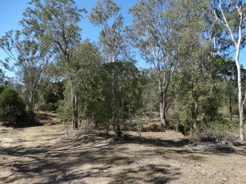38 John Clifford Way, Lowmead QLD 4676