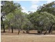 413 Capricornia Drive, Deepwater QLD 4674
