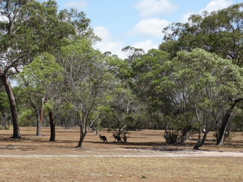 413 Capricornia Drive, Deepwater QLD 4674