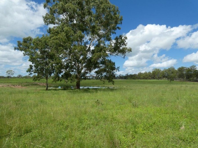 286 Brauers Road, Mount Maria QLD 4674