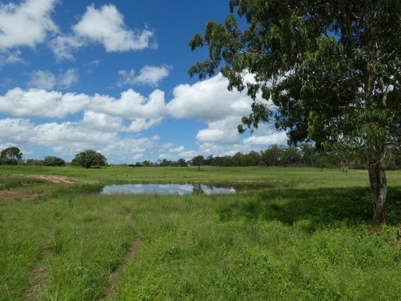 286 Brauers Road, Mount Maria QLD 4674