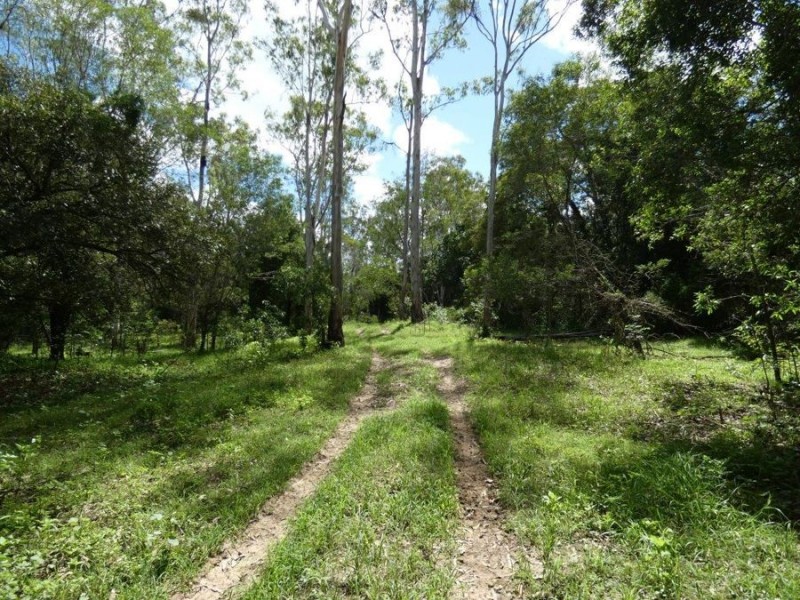 286 Brauers Road, Mount Maria QLD 4674