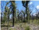 Lot 31 Deepwater Road, Deepwater QLD 4674