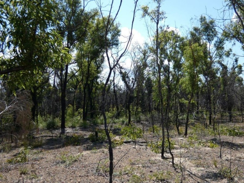 Lot 31 Deepwater Road, Deepwater QLD 4674