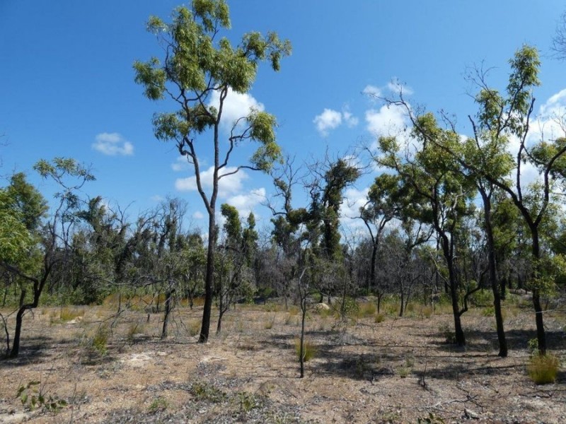 Lot 31 Deepwater Road, Deepwater QLD 4674