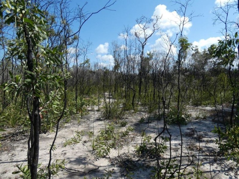 Lot 31 Deepwater Road, Deepwater QLD 4674
