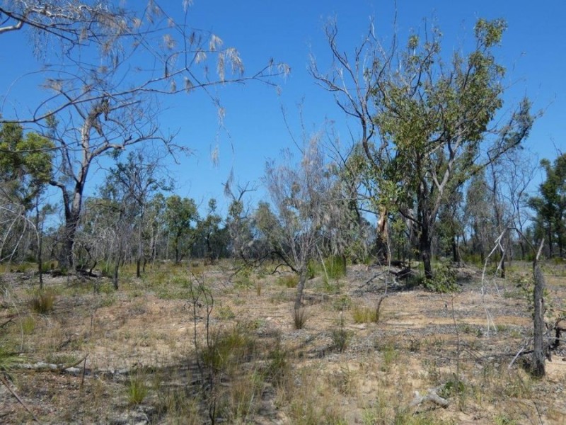 Lot 31 Deepwater Road, Deepwater QLD 4674