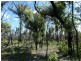Lot 31 Deepwater Road, Deepwater QLD 4674