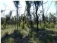 Lot 31 Deepwater Road, Deepwater QLD 4674
