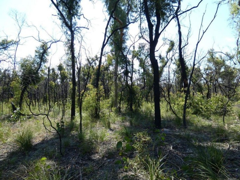 Lot 31 Deepwater Road, Deepwater QLD 4674