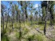 Lot 31 Deepwater Road, Deepwater QLD 4674