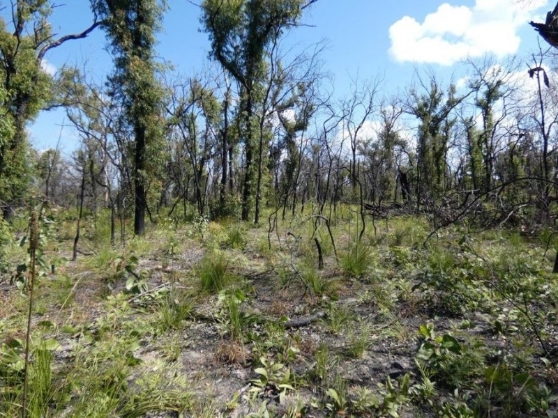 Lot 31 Deepwater Road, Deepwater QLD 4674