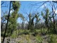 Lot 31 Deepwater Road, Deepwater QLD 4674