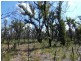 Lot 31 Deepwater Road, Deepwater QLD 4674