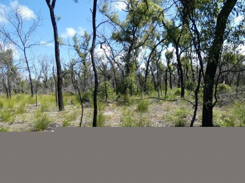 Lot 31 Deepwater Road, Deepwater QLD 4674