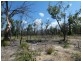 Lot 31 Deepwater Road, Deepwater QLD 4674