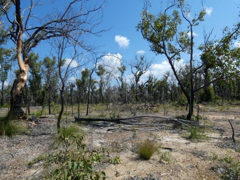 Lot 31 Deepwater Road, Deepwater QLD 4674